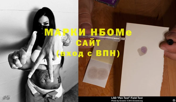 ГАЛЛЮЦИНОГЕННЫЕ ГРИБЫ Инсар