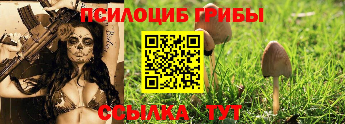 Галлюциногенные грибы прущие грибы Ивантеевка