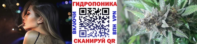 наркотики  Ивантеевка  Шишки марихуана LSD WEED 